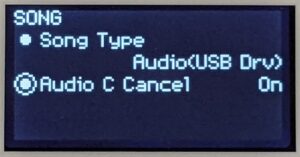 Audio vocal playback cancel feature