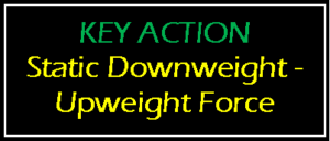 key action upweight & downweight force