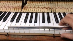 Acoustic grand piano key action