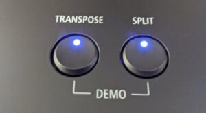 ES520 transpose button