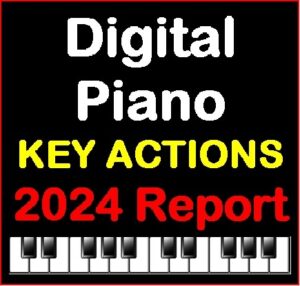 Digital Piano Key Actions