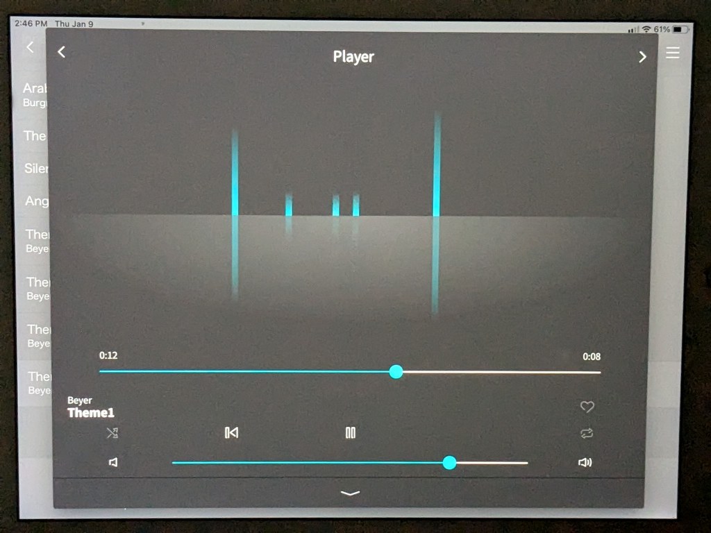 visual rhythm feature