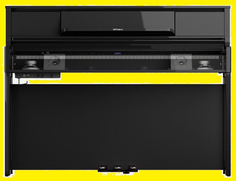 Roland LX5 speaker system 