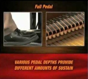 half-damper pedal explanation