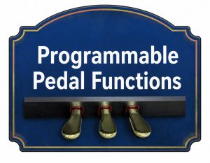 Programmable Pedal Functions